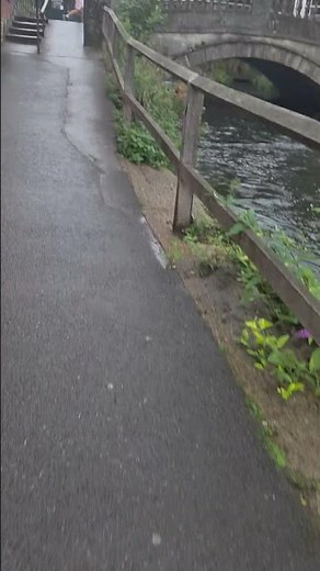 River Itchen, Winchester #travel #nature
