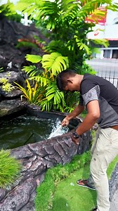Back again, and the deals are better than ever! | Royal Aquarium & Pet Accessories