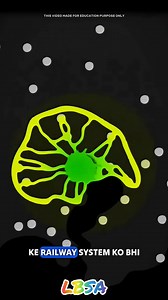 Slime molds are diverse, single-celled eukaryotic organisms classified in the kingdom Protista, not fungi.🌿🌿🌿🌿 #science #education #facts #knowledge #information #technews #technology #slime | Life Boat Science Academy