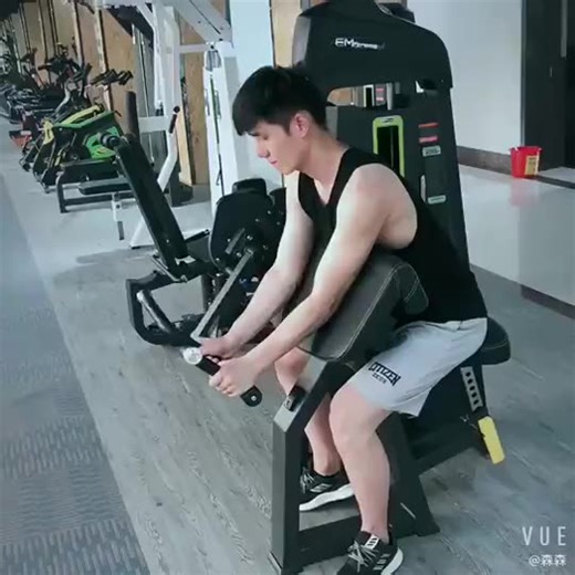 Steel Seated Triceps Arm Extension Machine for Body Building Indoor Gym Equipment