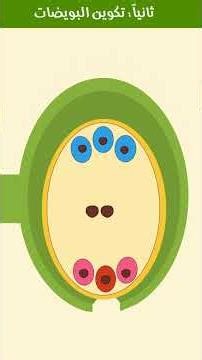 Reproduction in flowering plants in two minutes - Biology 3rd year, 2026 #Biology_3rd_Year_Secondary