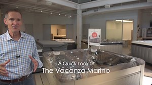 Take a minute to explore the Marino, a popular Vacanza® Series spa that delivers premium comfort and features at a value price. | Caldera Spas
