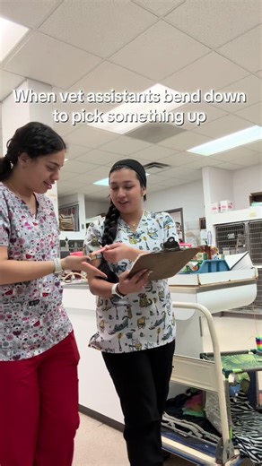 The Humorous Side of Vet Assistant Duties