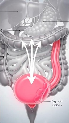 Swallowed Chewing Gum? Here’s What Really Happens Inside Your Body!