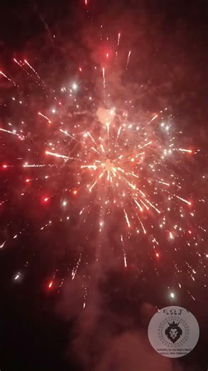 VORTEX BY LEEGENDARY FIREWORKS #reels #fireworks #2026