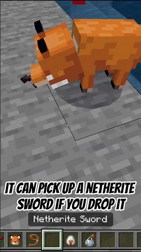 Minecraft's Most SECRET Glitch: Invisible Foxes! 🦊✨(NO MODS)