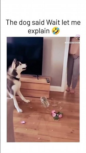 Let Me Explain 🤣😭