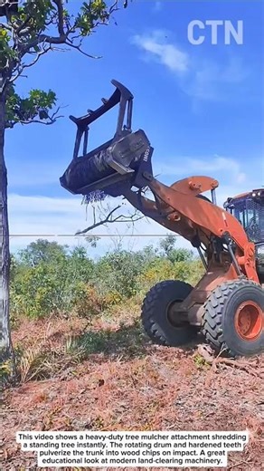 Powerful Tree Mulcher – Crushing a Tree in Seconds
