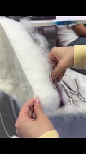 🚨 Stop Wasting Money on Bad Scissors! 🐶 | Premium Grooming Shears