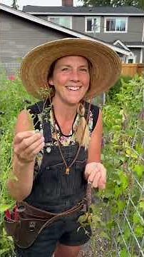 The secret to why mouse melons are so great