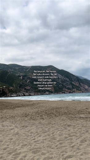 Dayan Kalbim: Bir Rüya Başladı