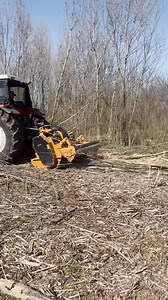 Just performance. The Berti SF2 in action: branches, brushwood and even large-sized foliage are mulched effortlessly. ⚙️ Power, durability and reliability to handle the toughest jobs. 👉 The professional mulcher you can rely on. #BertiMachinery #SF2Mulcher #ProfessionalAgriculture #AgriMachinery #landclearing #forestryequipment | Berti Macchine Agricole