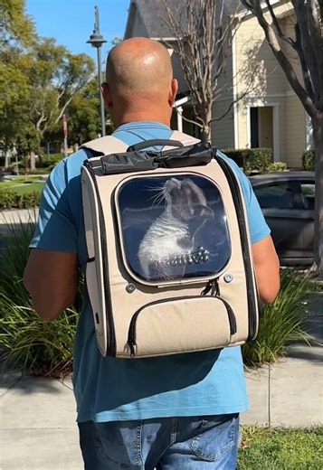 Perfect Cat Carrier Backpack for Adventures