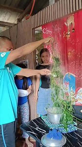 Bakit ganito ang ginolay mo sabe ko Talbos hinde naman to Talbos #baysoktv #zanderpolsotinvlogs | Baysok Tv