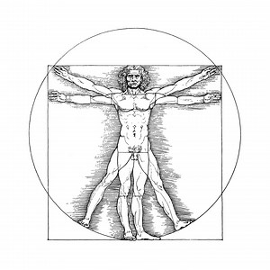 Leonardo Da Vinci, Golden Ratio, Vitruvian Man, 1492 | Art Print | Canvas Print | Fine Art Poster | Art Reproduction | Archival Giclee - Etsy