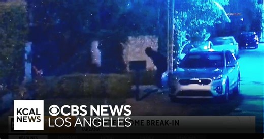 Tarzana man stops attempted home break-in with pepperball gun