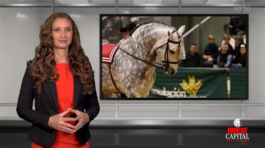 SICAB 2025 - Seville, Spain. Horse Capital TV's Cheri Prill traveled to Seville, Spain, to cover one of the largest horse shows in the world—spotlighting the Pure Spanish Horse, known as the P.R.E. We also meet a local P.R.E.horse owner who made the trip to discover why this event is considered one of the most prestigious celebrations in the horse world. Please support our great partners: Ocala Breeders' Feed & Supply John Deere Equine Discounts Mid-Florida Heating & Air Piccin & Glynn Showcase 