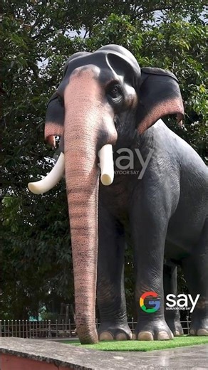 ഗുരുവായൂര്‍ കേശവന്‍ അനുസ്മരണം നവംബർ 30ന്