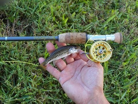 Mini Bass Gone Wild with Micro Fly Reel by Penfishingrods.com