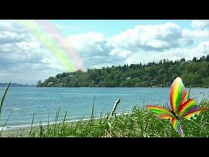 The Magic Door -- Time Machine Adventure Walkthrough