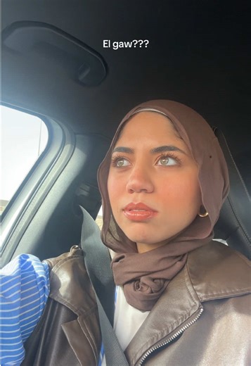 Exploring Egyptian TikTok Culture and Trends