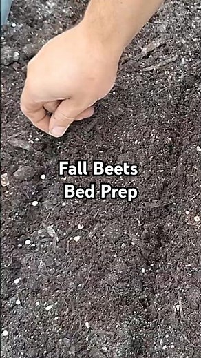 What’s Next After Harvest | Prepping This Garden Bed for Fall Beets!