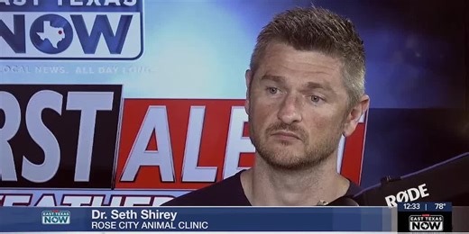 Vet Project: Vaccines for dangerous, common pet illnesses