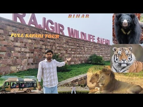 Rajgir Zoo Safari | Ticket, Animals & Travel Guide | Rajgir Wildlife Safari 2026 🦁 | Honest Review