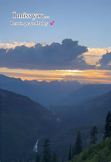 In Loving Memory of Hailey: A Heartfelt Tribute