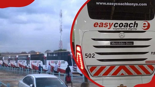 Easy Coach bus online booking, routes and fares (updated for 2026)