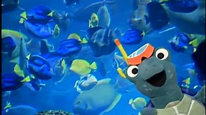 Baby Einstein - Baby Neptune (2009 DVD) (Grow with Me & French Version)