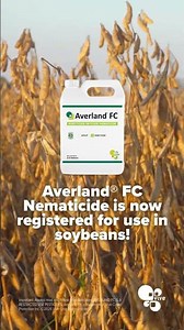 Soybean Growers... Let's Go!! 🌱