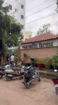 Tiffins are good here😊 but too costly🤦‍♂️ #organicfood #tiffins #foodshorts #foodvlogs #foodreview