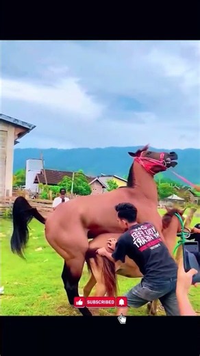 Why is the mare peeing when the stallion approaches? 😳🐎 #tiktokgrowthchallen
