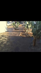 Low Maintenance Luxury: Enjoy the beauty of flagstone without the hassle – its low-maintenance nature means more time to relax and less time on upkeep.#Arizona #poolrenovation #landscapingcompany #PaversInstallation #landscapingideas #phoenixartificialgrass #arizonalandscaping #hardscape #landscaping #mastercraftsma#arizonan #arizona #fireplace #Firepit #firepit#retainingwall #landscaping #landscapingcompany #PaversInstallation #landscapingdesign #mastercraftsman #paverstone #arizonalandscaping 