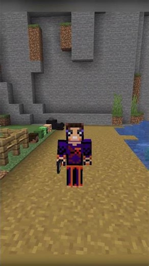 Minecraft's Secret Mob Heads!