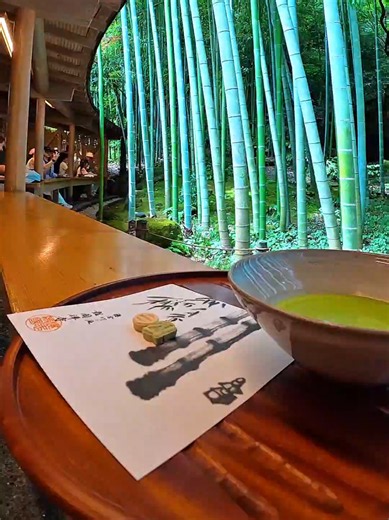 鎌倉・報国寺が異世界すぎた｜竹林と写心の散歩