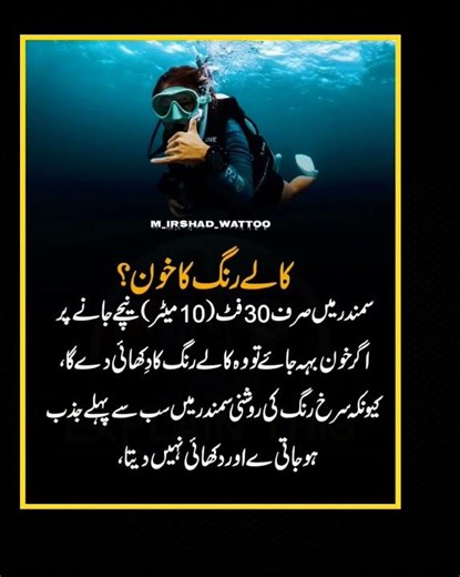 Interesting & Amazing Facts #youtubeshorts