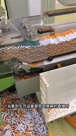 Cigarette factory site🚬😲 #manufecturing #cigarette