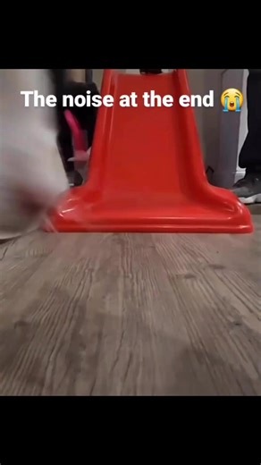 kitty slide | Cats Vine