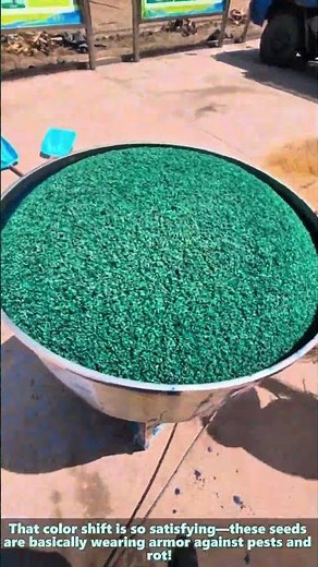 Satisfying seed coating: mixing protective treatment into every grain