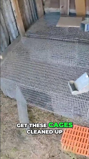 Rabbit Cage Makeover: Farm Life Hacks You Need to See!