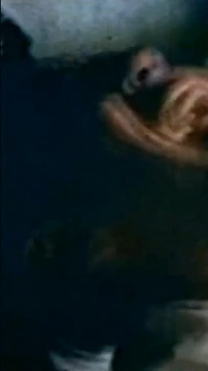The House That Dripped Blood - Full Movie #horror #scary #movie #dubbed #horrormovies #ghosts
