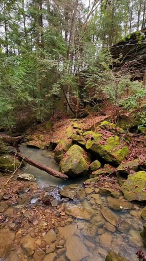 There's no problems down at Holmes Chapel Falls, but you can always dance in the rain. 👍😎 #goodmusic #waterfall #lifeisgood #goodtimes #hike #freedom #Alabama #goodvibes #outdoors | Chuck Willis