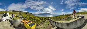 Lavaux Unesco World Heritage Site 10 360 Panorama | 360Cities