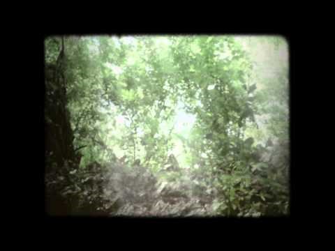 Hobbits Were Real. Are They Still Out There? - Part 3