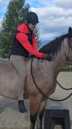 2.8K views · 43 reactions | A skeptical horse needs more time accepting the human than the saddle. A lot of time is spent on building trust. Once he lets down, then walking begins. #HorseTraining #SkepticalHorse #BuildingTrust #HorseCare #EquestrianLife | Mastery Horsemanship | Facebook