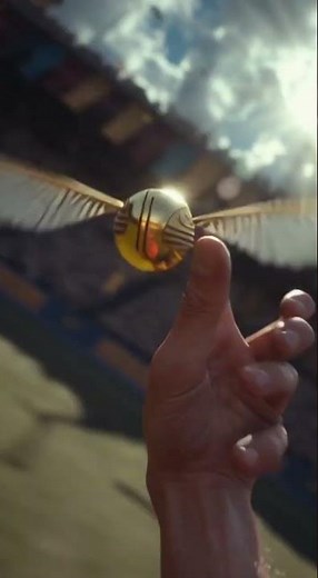 Don't let the Golden Snitch get away! #harrypotter