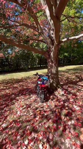 Tuff modded Razor edit