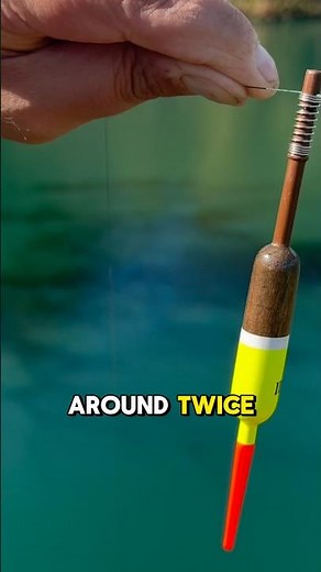 This SIMPLE Bobber Setup Catches EVERYTHING! 🎣 #shorts #fishing